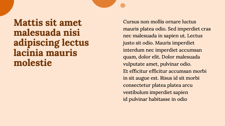 Bold Tangerine slide 6